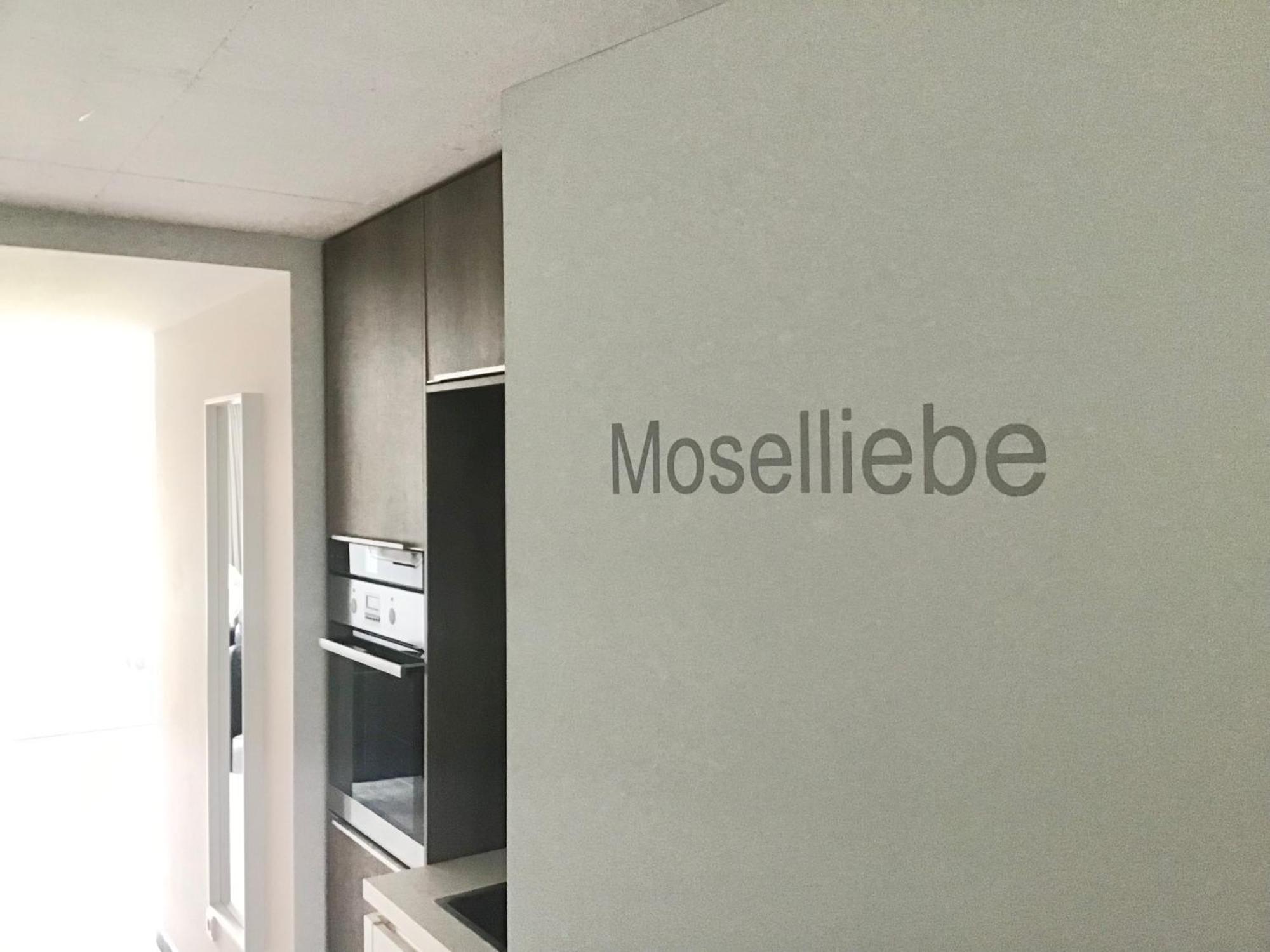 Mosel Palais Apartment